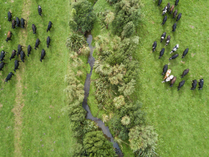 Last year&#039;s funding round included a riparian planting project in South Otago.