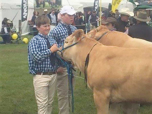 Charlie and his brother Louie Herbert in the ring in 2017, when they won a second place ribbon for the all breeds pair.