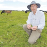 Analysis key to pasture renewal