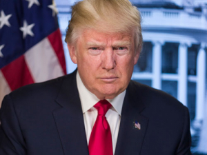 Donald Trump&#039;s White House portrait. 