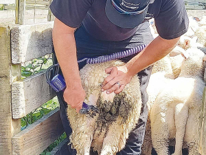 The Handypiece Pro features variable speeds from 2400 - 3500rpm, typically carrying out dagging, crutching and trimming cows&#039; tails at a mid-speed of 2700 rpm.