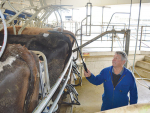 Waikato farmer Carl Steiner tries out the new EstroScan hand-held reader.