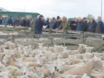 BNZ’s latest report says farmers remain cautious despite the agri-sector having done reasonably well during the COVID-19 pandemic.