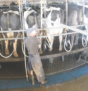 Move on energy helps cut consumption