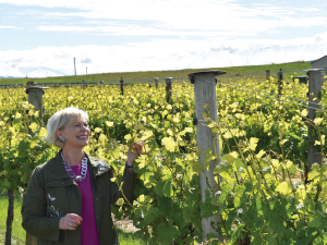 Janiene Bayliss at Ata Mara vineyard