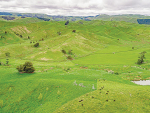Renwick says New Zealand needs to address both productivity and profitability.