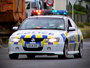 Police have responded to reported plane crash near Wairoa.