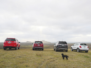 Holden’s SUV range exploring the Chatham Islands.