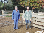 Jim Anderson and grandson Joseph overseeing the drenching and worming on the family farm at Southburn.