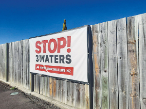 Both Manawatū District Council and Taupō District Council have spoken up in opposition to the Three Waters reforms at select committee this week.