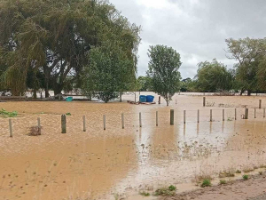 The heavy rain came at possibly the worst time of year, says growers. Photo Credit: Serina Cole.