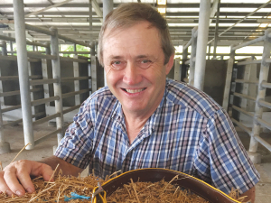 Professor Derek Bailey from New Mexico State University led the research team looking into ryegrass staggers in sheep.