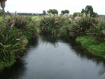 Dairy farmers happy with water quality report