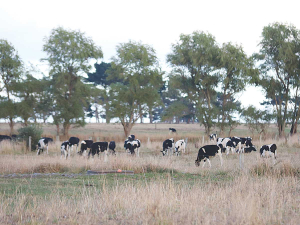 Manawatu is one of the latest places to be declared a drought region.