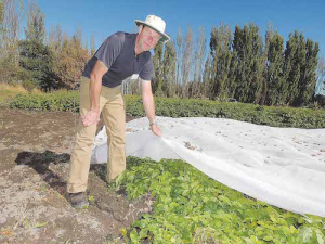 Dr Charles Merfield believes growing potatoes under mesh covers is the answer to many problems affecting the crop.