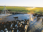 NZ milk production experienced a record May, jumping 8% year-on-year.