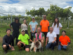 Global team cultivates New Zealand premium eating grape vineyard