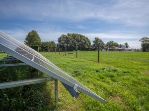 Solagri provides a ‘solar as a service’ option tailored to New Zealand dairy farms.