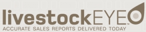 SALEYARD REPORT | Temuka Prime cattle - 17 June