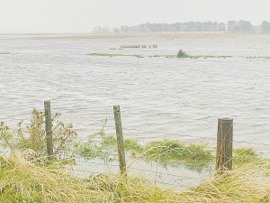 Farmers and growers in the Hawke&#039;s Bay are frustrated and angry with a lack of Government leadership following the destruction of farms and orchards in the region by Cyclone Gabrielle back in February. Photo Credit: Paul McGill.