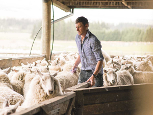 Farmers have the next few weeks to lift the condition of their lighter ewes before the ram goes out. Photo: Kieran Scott.