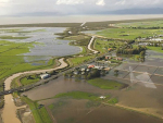 Record rainfall in the Waikato this year has left soils saturated.