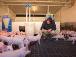 NZPork says the Government&#039;s proposal to exclude pig farming from agricultural emissions pricing is pragmatic and sensible.