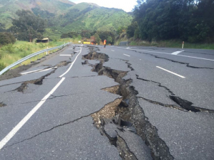 Some Ravensdown stores have been affected by the series of earthquakes this morning.