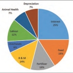 Total production cost of an average NZ dairy farmer