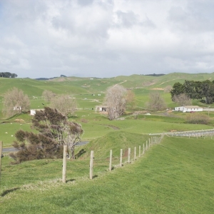 Large Waikato finishing block up for sale