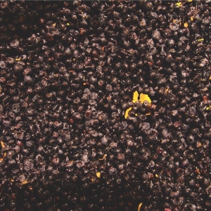 Martinborough: Cropping Levels