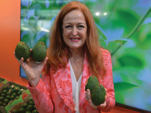 Last week&#039;s 10th World Avocado Congress was a great opportunity to showcase NZ&#039;s agriculture sector to the world, says NZ Avocado chief executive Jen Scoular.