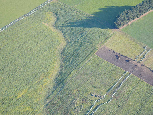 Photos - the authenticity of which are unknown - show that not all farmers are following winter grazing rules to the fullest.