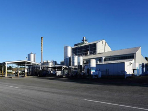 Fonterra’s Brightwater dairy factory.