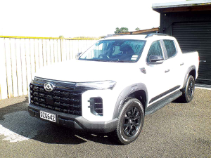 The new LDV T60 Max Plus.