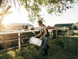 Primary production tends to create more anxiety amongst farm managers compared to other occupations.