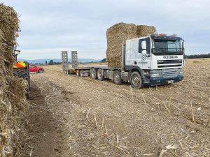 A scheme harvesting and carting maize stubble to dry regions is proving useful.