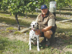 Marlborough deer farmer Justin Stevens.