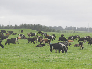 Total farm debt in NZ is up 270% on 20 years ago.