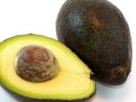 The avocado industry has become the seventh industry partner to join the Government Industry Agreement (GIA) biosecurity partnership.