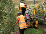 New Zealand apple exporters want the Indian FTA ratified quickly.