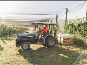 Electric Cherries: NZ’s first all-electric orchard leading the way in sustainable horticulture