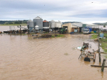 Queensland take A$6m hit from cyclone Debbie