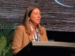 Beef+Lamb NZ Says Sheep And Beef Sector Fundamentals Remain Strong