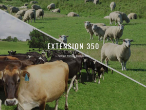 The Extension 350 project aims to lift profitability, environmental sustainability and wellbeing on Northland farms.
