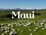 Feds offer support for Maui Milk suppliers