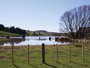 Plants, fencing keeps nasties out of water