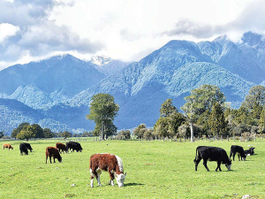 Fonterra says that pasture-based farming is what has kept the New Zealand dairy industry&#039;s footprint low.