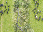 Managing fertiliser and feed use can help minimise losses to waterways.