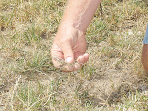 The drought has already taken its toll on farms and will take time to recover from, says Ag Minister Damien O’Connor.